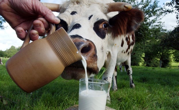 La receta para ser cero emisiones y fabricar leche