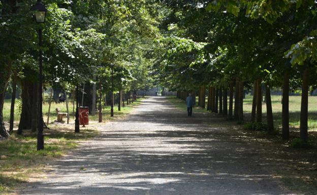 Patrimonio Nacional avanza en la redacción de los proyectos de El Parral y el Hospital del Rey