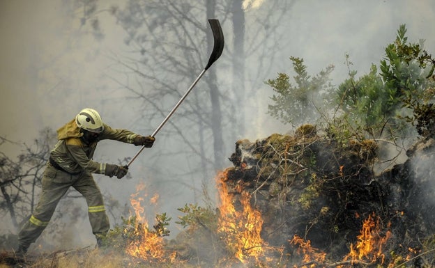 Biomasa, la otra fuente de energía renovable aliada contra los incendios