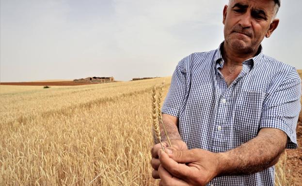 Itacyl aboga por una agricultura más sostenible que permita ahorrar costes