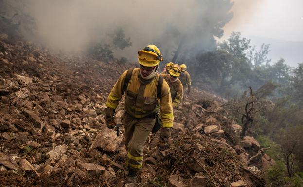 Doscientos profesionales trabajan para extinguir los incendios que han arrasado ya 90 hectáreas en Zamora