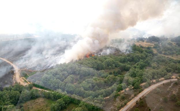 Miles de hectáreas calcinadas en el incendio de la Sierra de la Culebra, que ha obligadoa evacuar ocho pueblos de Zamora