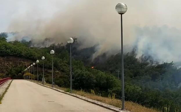 Incendio forestal en Villasur de Herreros