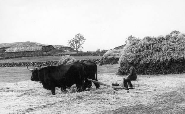 La UBU pide colaboración para crear un banco de imágenes del patrimonio rural de Burgos