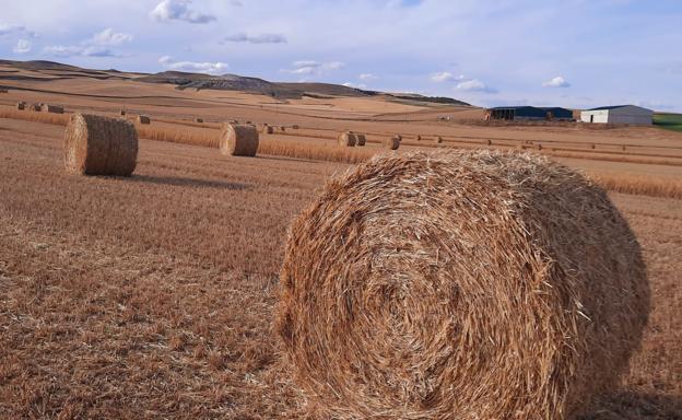 El Plan Estratégico para la aplicación de la PAC se acabará y enviará a la Comisión en julio