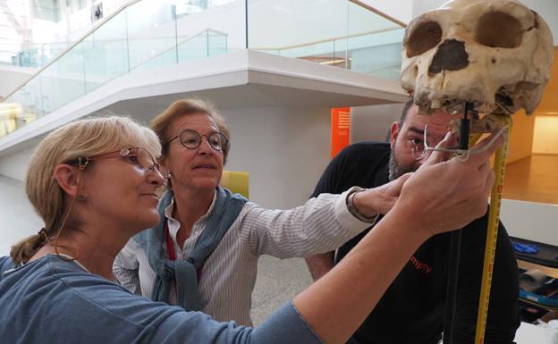 Investigadores de Atapuerca impartirán en el MEH talleres y charlas sobre fósiles y nuevas tecnologías