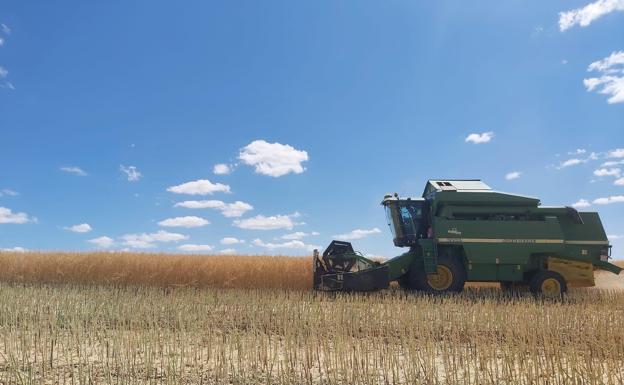 El paro agrario baja en 301 personas durante el mes de junio