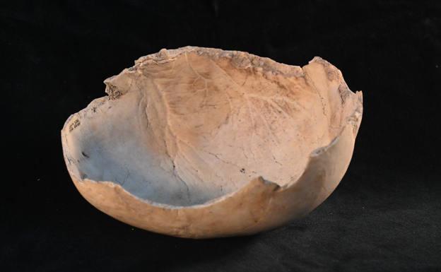 El Museo de Burgos expone cráneos-copa procedentes de la cueva del Mirador de Atapuerca