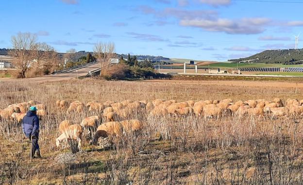 Agricultura destina 430.000 euros a ayudas al cooperativismo agroalimentario