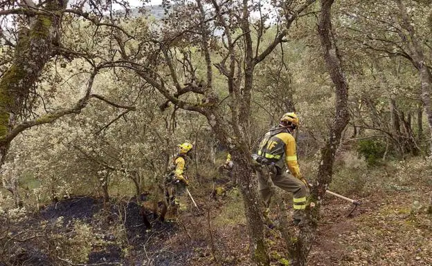 Doce agricultores frenan el avance del fuego en el incendio de Santovenia de Oca