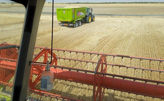 Zamora opta por repetir el precio de todos los cereales