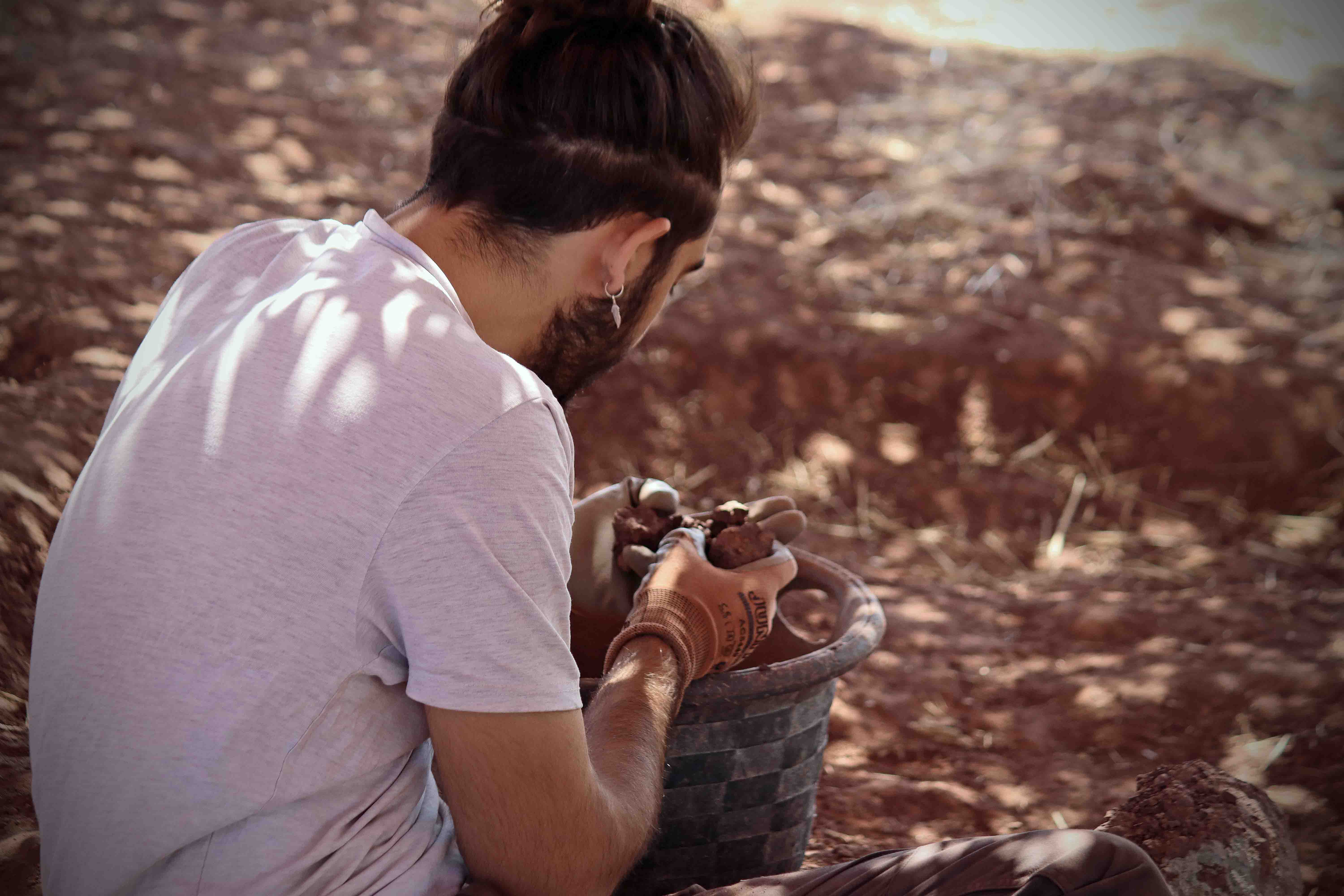 Dentro de las excavaciones paleontológicas de Salas de los Infantes