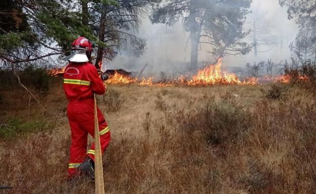 Burgos sufrió el 9,4% de los incendios forestales de Castilla y León de la última década