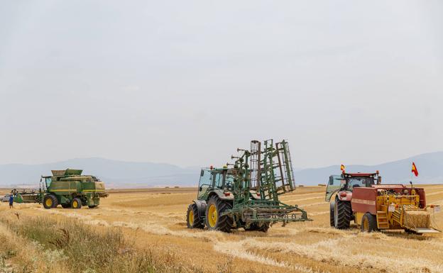 COAG Salamanca denuncia una «fuerte presión» de los almacenistas para bajar el precio de los cereales