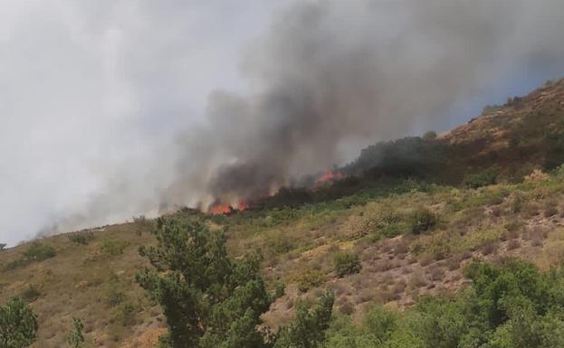 Cortada la carretera BU-820 por el incendio en Pineda de la Sierra