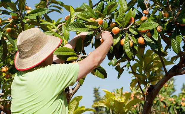 El programa Incorpora de Fundación La Caixa facilita 230 empleos a personas en situación vulnerable de Burgos