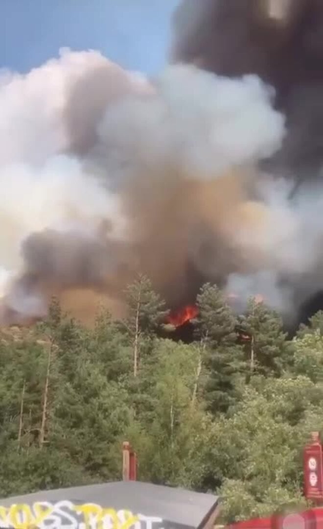 Incendio forestal en Pineda de la Sierra (Burgos)