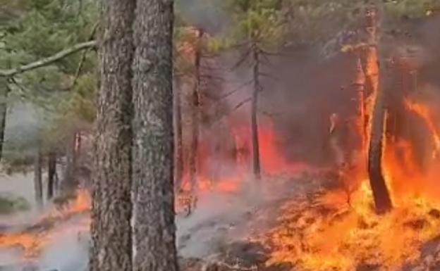 Un rayo provoca un incendio en Santa Cruz del Valle Urbión