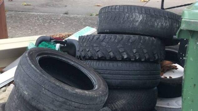 Pedrosa es una de las 37 pedanías del valle de Tobalina afectadas por la falta de limpieza