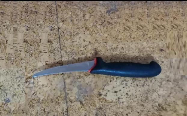 Se cuela de madrugada en el piso de su expareja y lo amenaza con un cuchillo de cocina