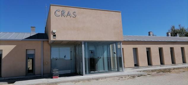 Los pacientes más habituales del Centro de Conservación de Animales Silvestres de Burgos son aves