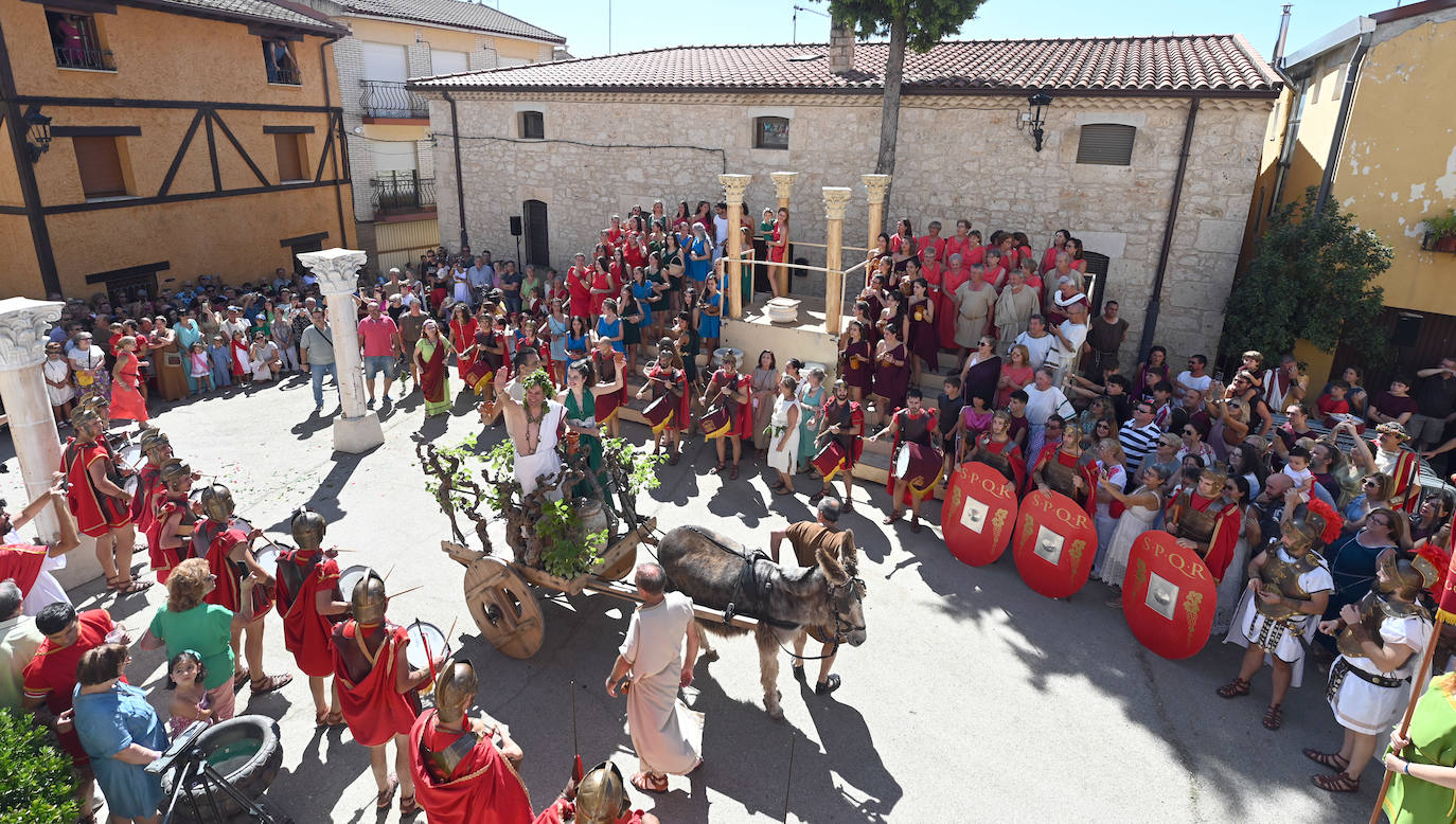 Fiesta en honor al dios Baco en Baños de Valdearados (Burgos)