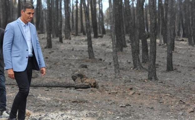 El Consejo de Ministros declarará zona catastrófica los territorios afectados por grandes incendios