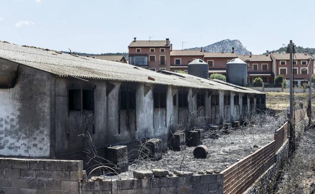 Nueve municipios de Burgos declarados zona catastrófica por los incendios forestales de este verano