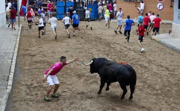 Imprudencias y falta de formación tras el aumento de muertes en los 'bous al carrer'