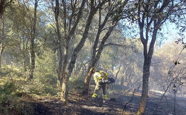 El operativo de extinción sigue trabajando para controlar el incendio de Las Merindades