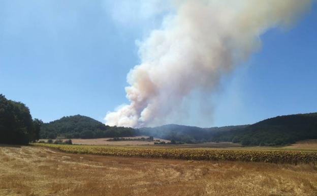 Dan por controlado el incendio forestal de Las Merindades