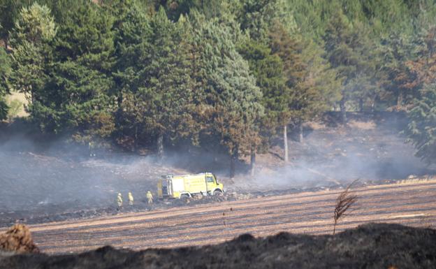 Burgos estará el domingo en alerta por riesgo muy alto de incendios forestales