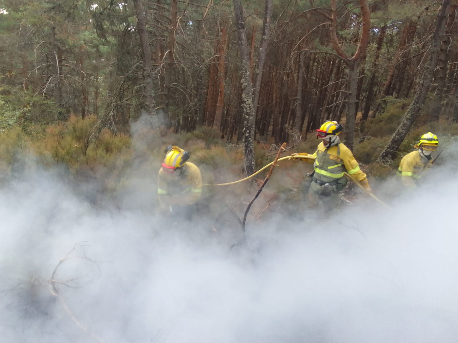 Incendio en Mazueco de Lara