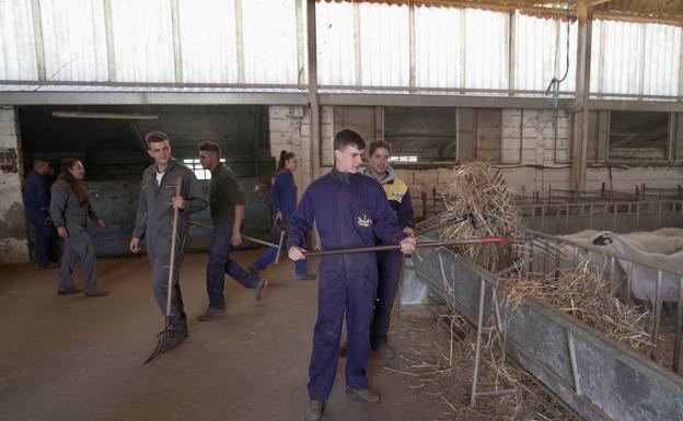 620 alumnos empiezan el curso en 18 ciclos de formación vinculados a la rama agraria