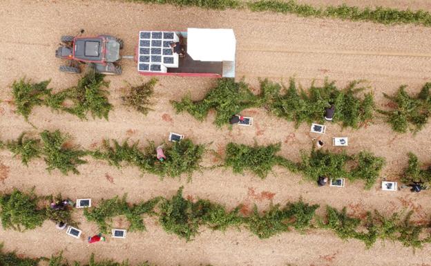 El paro agrario desciende en 565 personas en septiembre en la región