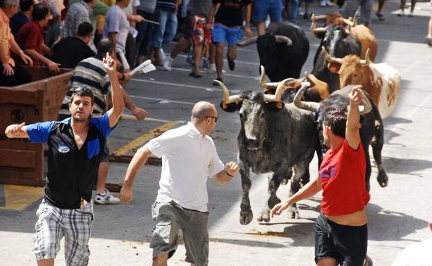 Muere un hombre de 72 años tras ser corneado por un toro en Castellón