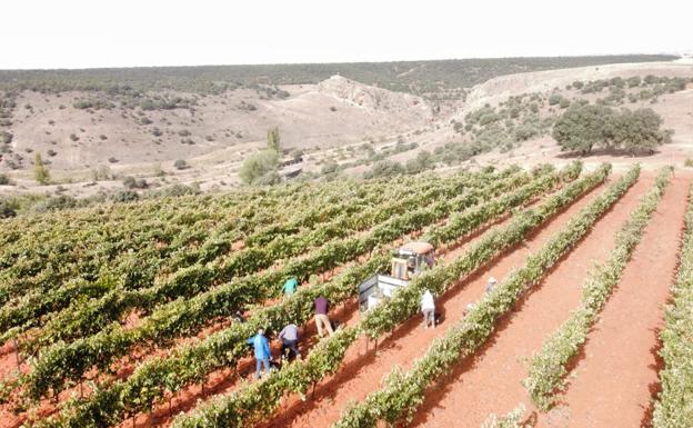 La singularidad de los viñedos situados sobre antiguas minas de mica