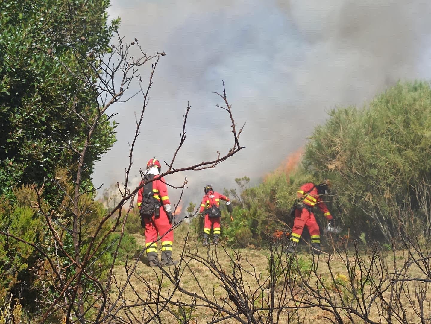 La UME se despliega en Valle de Mena para sofocar el incendio iniciado en Balmaseda