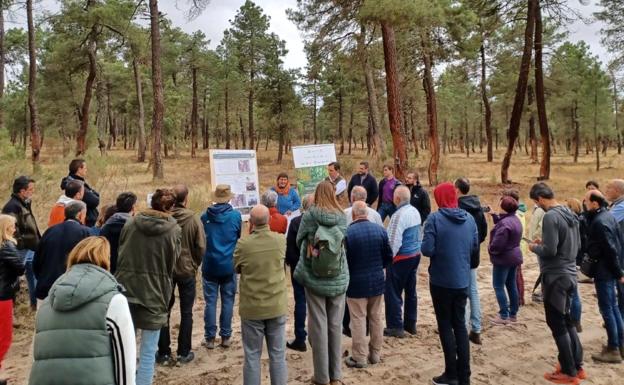 El sector forestal propone ocho medidas de futuro para los montes privados