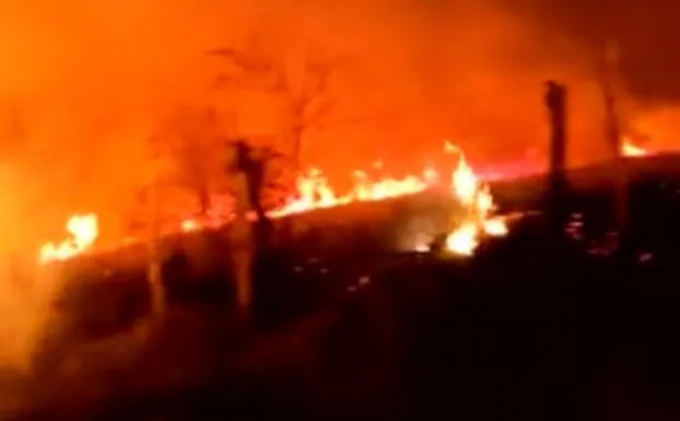 Trabajan en la extinción de un fuego iniciado en Cantabria que ha entrado en Merindad de Montija