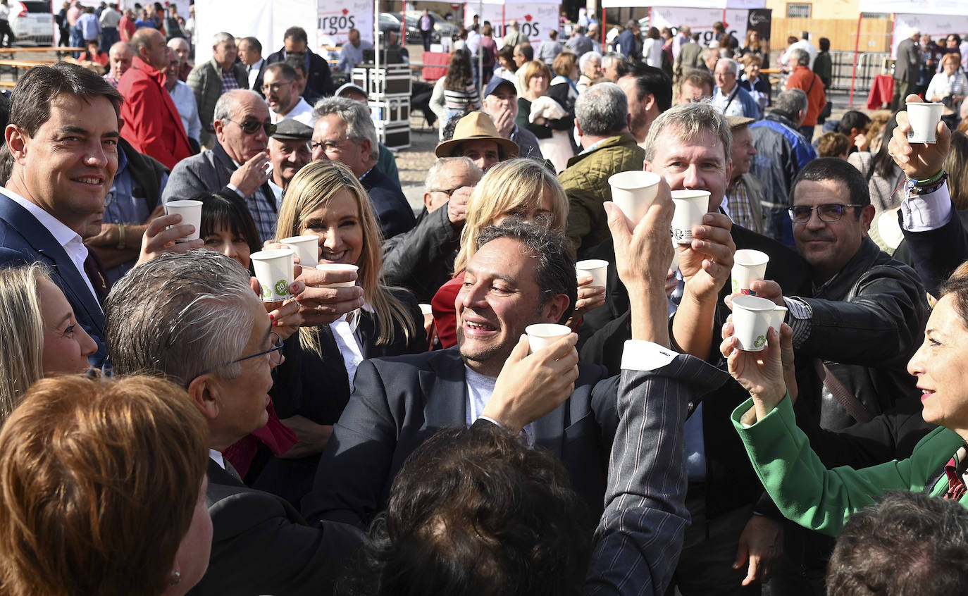 La DO Arlanza cierra su campaña más larga con más de un millón de kilos de uva recogidos