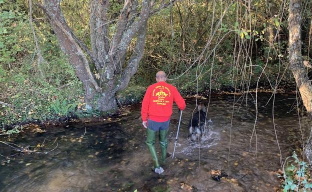 Retoman la búsqueda de Sergio Sierra en los entornos de Castrillo del Val