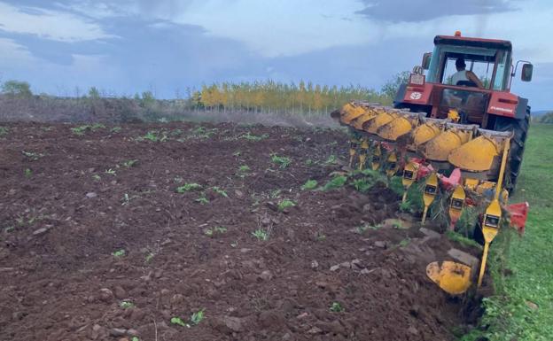 El tiempo esta semana: anuncio de precipitaciones mientras se anima la sementera