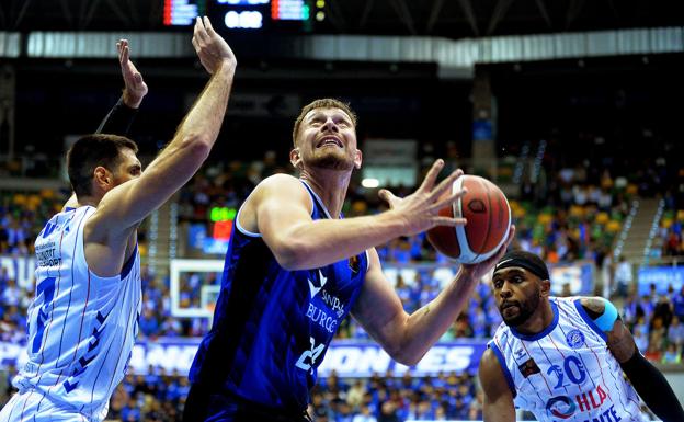 Volver a ganar en el regreso al Coliseum ante Guipuzkoa Basket