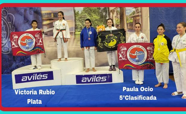 Cuatro medallas para el Club Taekwondo Gele de Miranda en el Open de Avilés