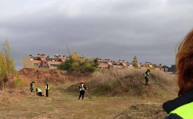 Se crearán brigadas forestales y de mantenimiento de colegios gracias a los planes de empleo