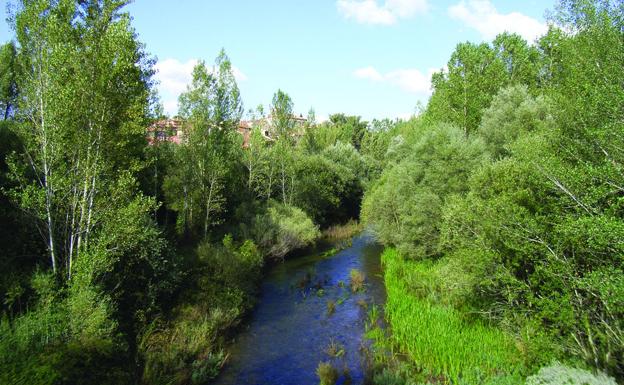 La Demanda busca la promoción e impulso de la Vía Verde a través de la web