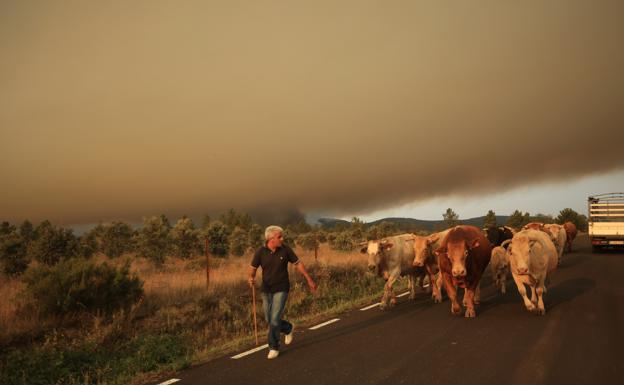 UPA-COAG considera que las ayudas por los incendios son «escasas» y no cubren pérdidas básicas de las explotaciones