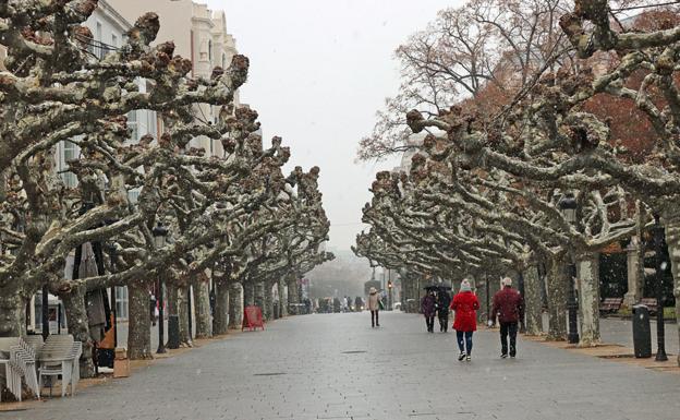 Llega la nieve a Burgos