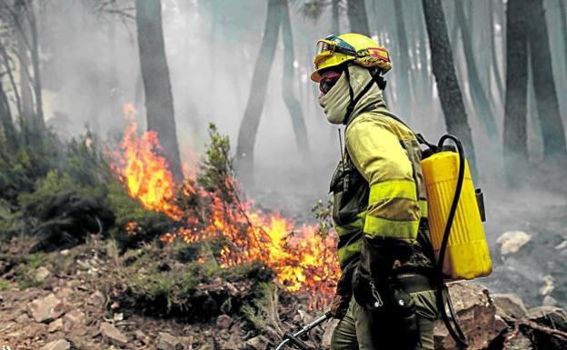 UPA-COAG reclama a la Junta que levante la prohibición del uso de pastos en los terrenos incendiados